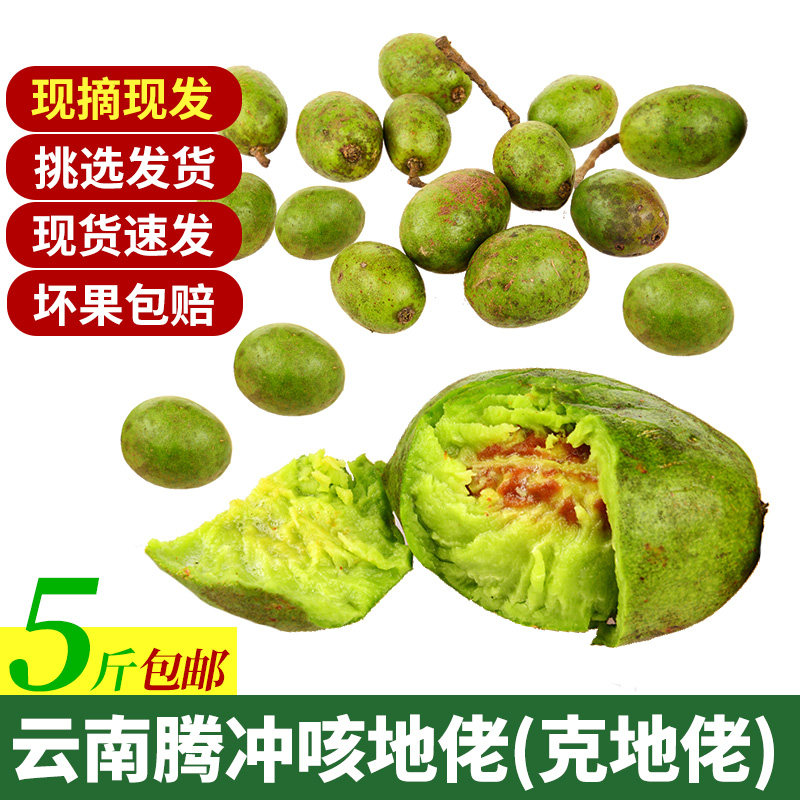 新鲜克地佬腾冲咳地佬野生鲜果咳地佬泡酒云南咳哩嘎里罗青滇橄榄