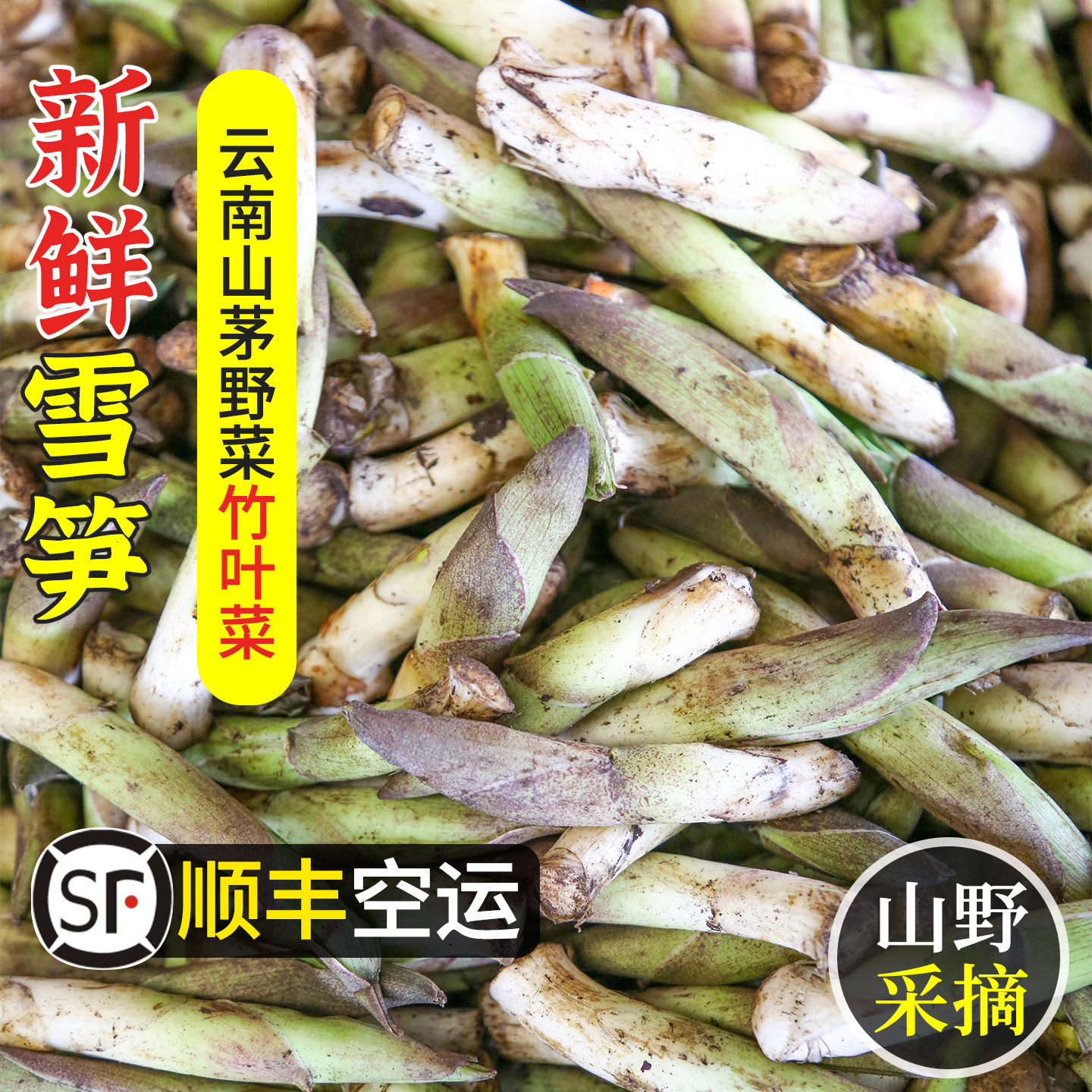 云南雪笋新鲜贡山竹叶菜山野蔬菜鹿药草嫩笋嫩叶现挖食用时令顺丰