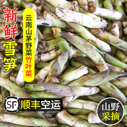 云南雪笋新鲜贡山竹叶菜山野蔬菜鹿药草嫩笋嫩叶现挖食用时令顺丰