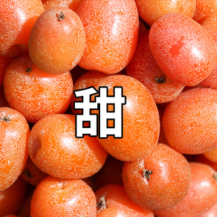 【顺丰包邮】云南甜羊奶果新鲜洋奶果蜜花胡颓子时令新鲜稀有水果