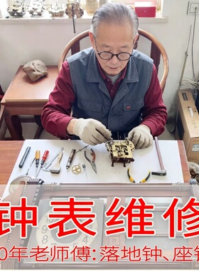 德国机芯18天24小时钟表配件