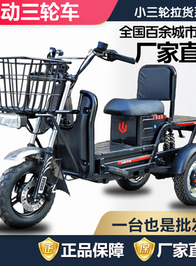 电动三轮车小型载重王拉货家用代步外卖休闲长跑王锂电池电瓶