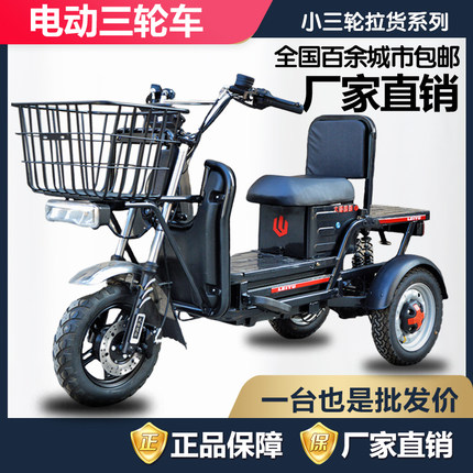 电动三轮车小型载重王拉货家用代步外卖休闲长跑王锂电池电瓶