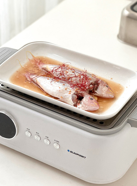 白色简约陶瓷盘子蒸箱专用蒸盘长方形盘子蒸鱼盘盘子菜盘蒸菜家用