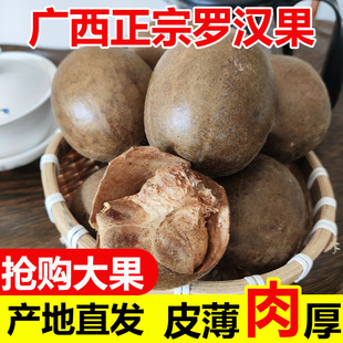 商用泡茶润喉凉茶 正宗广西桂林特产50个大果罗汉果果干特大独立装