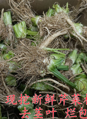 包邮芹菜根现挖新鲜农药