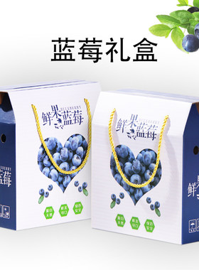 蓝莓礼盒包装盒箱子水果树莓