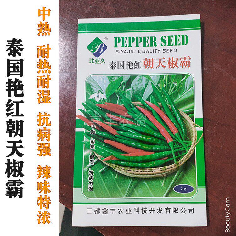特辣泰国艳红朝天椒霸辣椒种子早中熟耐热耐湿抗病强干鲜辣椒种籽