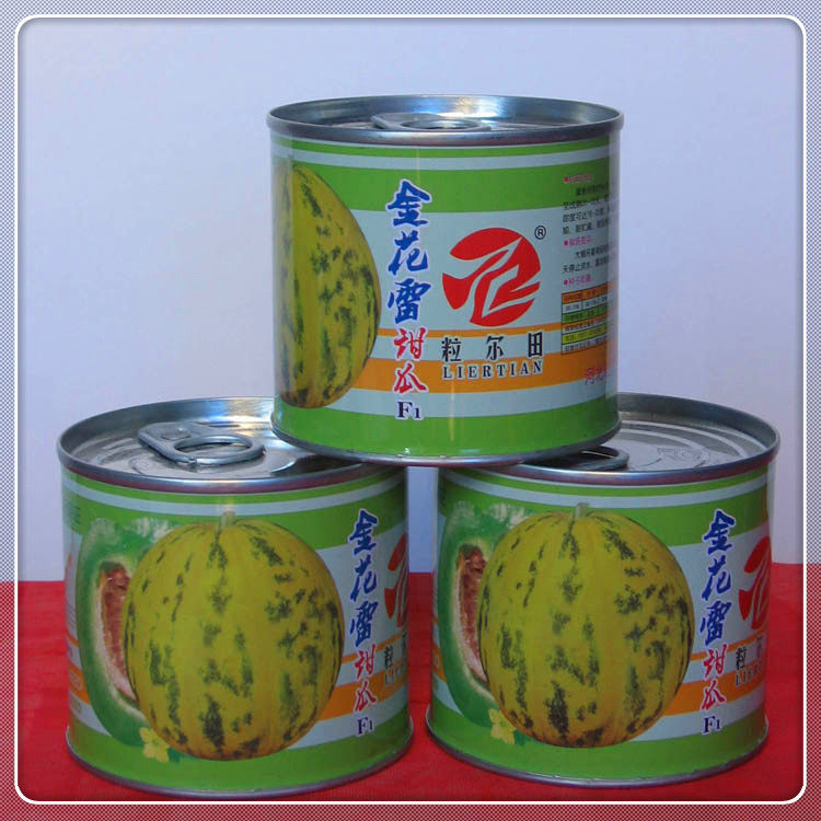 水果种子花蕾一号薄皮花皮甜瓜种子粒尔田金花雷甜瓜种子基地专用