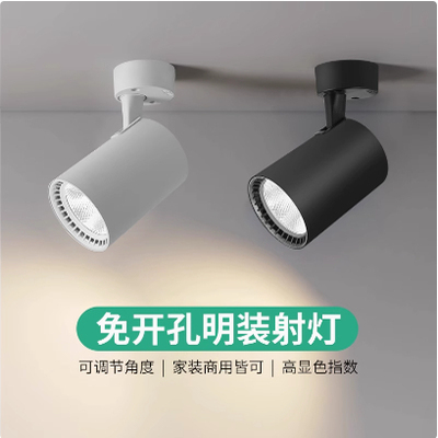 节能光源吸顶高亮射灯