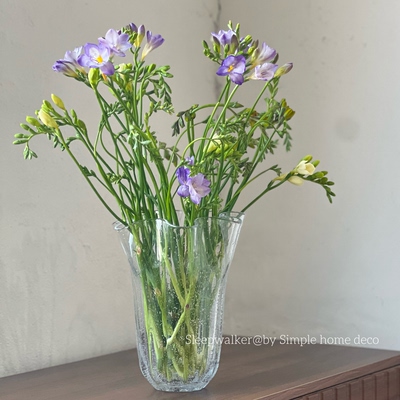 流光｜外贸出口透明气泡感白菜裙摆玻璃花瓶玫瑰插花客厅装饰摆件