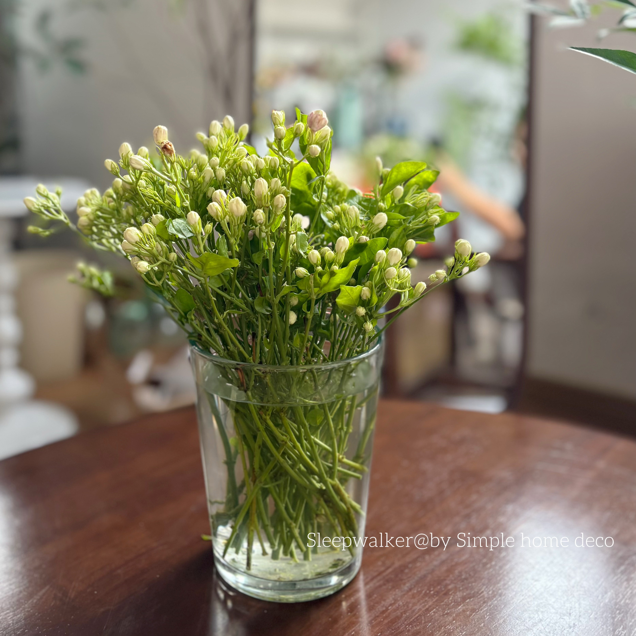 茉莉｜口12高16出口北欧简约敞口玻璃花瓶套盆茉莉郁金香插花摆件