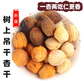 杏干树上自然风干500g新疆伊犁特产果干吊死杏