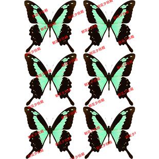 绿蝴蝶打印热缩片图案diy手工材料可定制图案