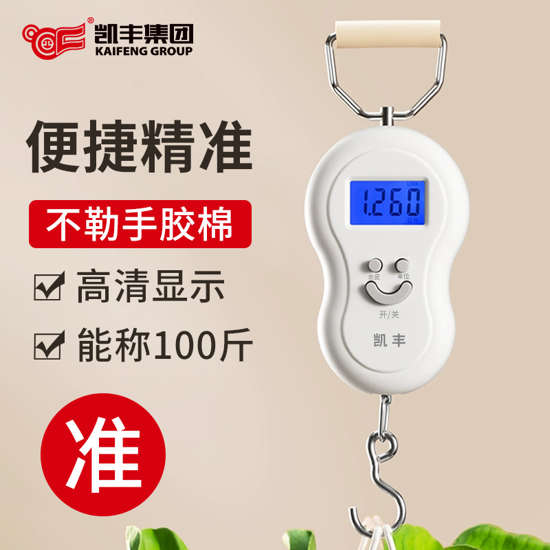 2025新款便携式手提电子秤精准家用小型高精度商用称重弹簧称鱼器