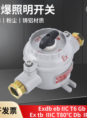 防爆墙壁开关照明单开双开SW-1016A厂房车间国标加厚IICT气体明装