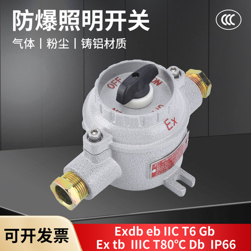 防爆墙壁开关照明气16A单开双开