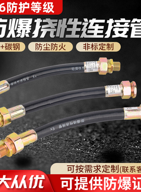 BNG防爆挠性连接管4分6分DN15穿线管DN20防爆挠性管1寸防爆软管