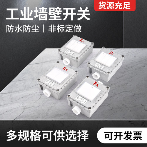 sw-10控制灯明装暗装开关