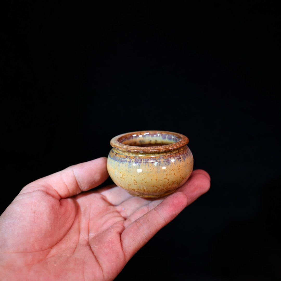 12.28凤尾鎏金罐子景德镇大蘑菇控养拇指创意桌面办公室透气花盆,鲜花速递/花卉仿真/绿植园艺,花盆,淘宝优惠券,粉丝福利购,淘宝优惠卷