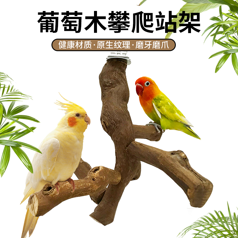 葡萄木站杆玄凤虎皮牡丹鹦鹉八哥站棍站架磨爪棒多叉跳跃站杆配件