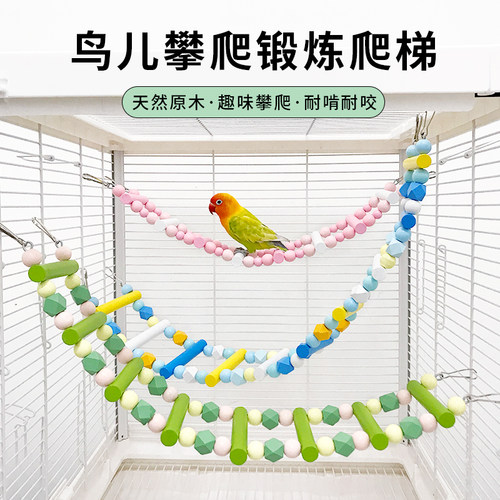 鹦鹉马卡龙色云梯锻炼攀爬梯
