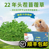 22年新草精品烘干紫花苜蓿草兔子龙猫豚鼠荷兰猪干草牧草兔粮1kg