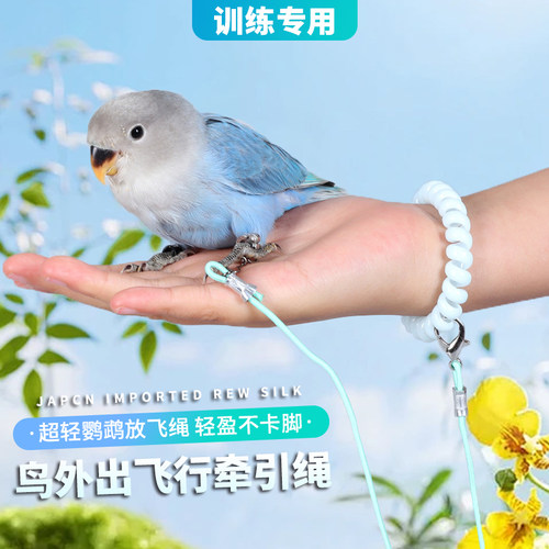 遛鸟绳鹦鹉牵引绳弹力绳
