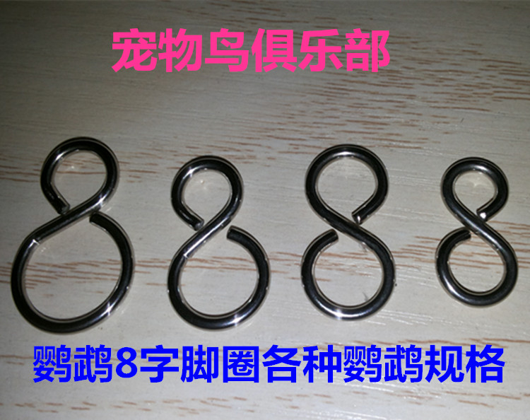 灰鹦鹉不锈钢8字环脚圈 折衷 黄帽 活口环 6元2个 现货