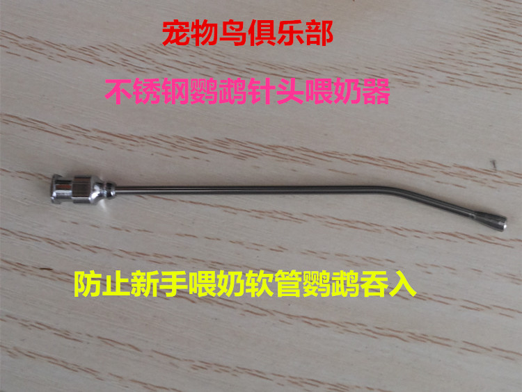 金刚葵花 灰鹦鹉手养鹦鹉BB 幼鸟雏鸟不锈钢喂食器奶喂药器现货图片
