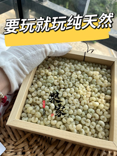 金佛草籽 棕榈树籽 绿化带文玩 可盘完 抛光 已打孔 可做元宝手串