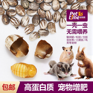蜜袋鼯粮食零食坦克虫奶蜜小蜜零食饲料训练仓鼠零食杨拉罐洋辣子