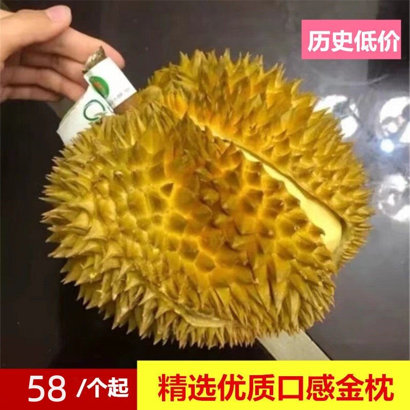 肉太多了香甜软糯猴哥榴莲精选