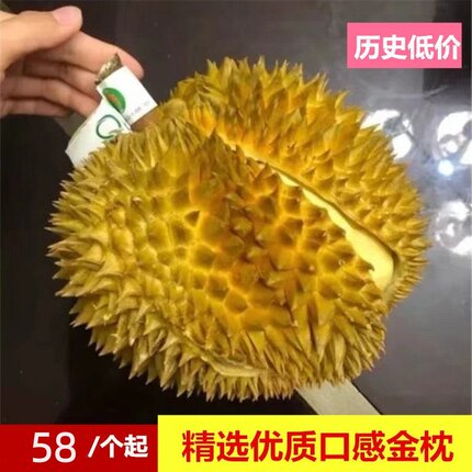 【肉多核小】金枕头榴莲新鲜水果应季整个带壳果丑肉多巴掌小榴莲