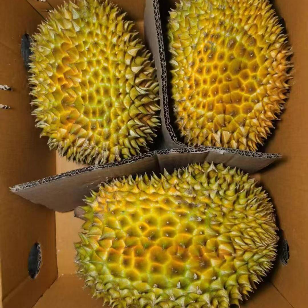 泰国金枕榴莲10斤整箱