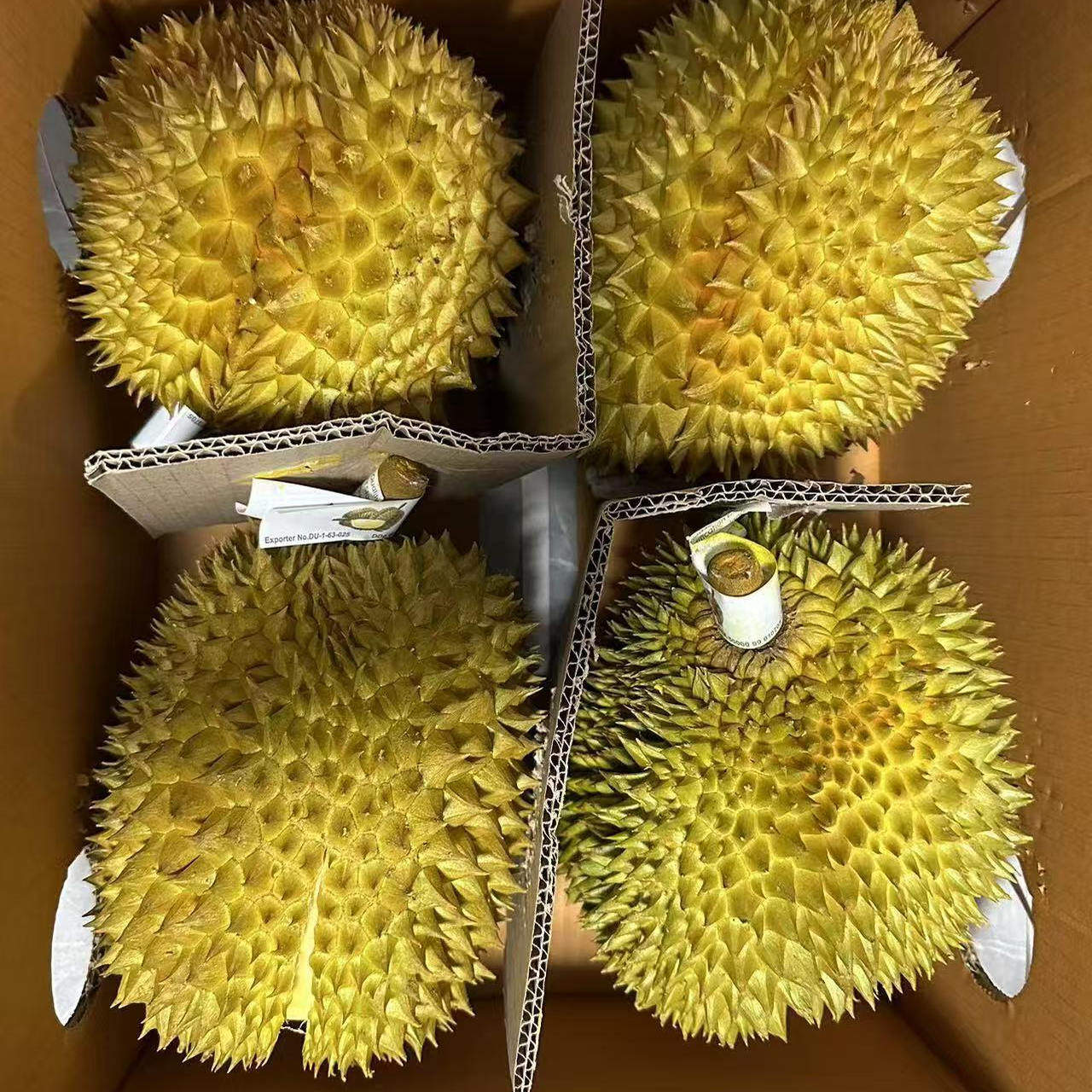 优选老树金枕，肉多核小