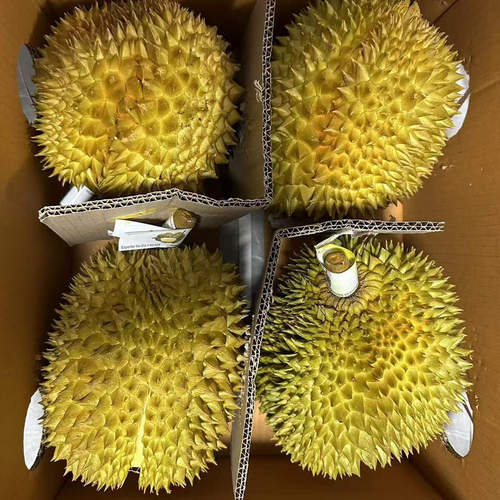 优选老树金枕，肉多核小