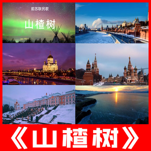 山楂树 前苏联民歌曲爱情乌拉尔的花楸树原唱高清舞台led背景视频