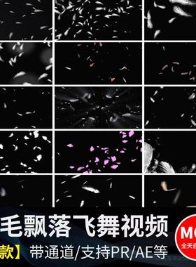 白色羽毛飘落掉落下彩色漫天飞舞元素特效果透明通道MOV视频素材