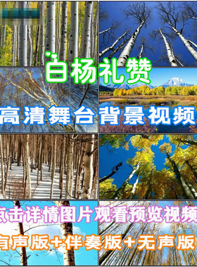 白杨礼赞 歌曲诗词朗诵版配乐LED晚会舞台大屏幕高清视频背景素材