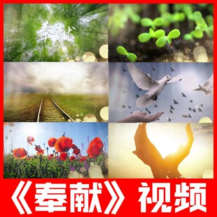 奉献 配乐演唱伴舞成品爱的奉献公益晚会爱心歌曲背景led视频素材