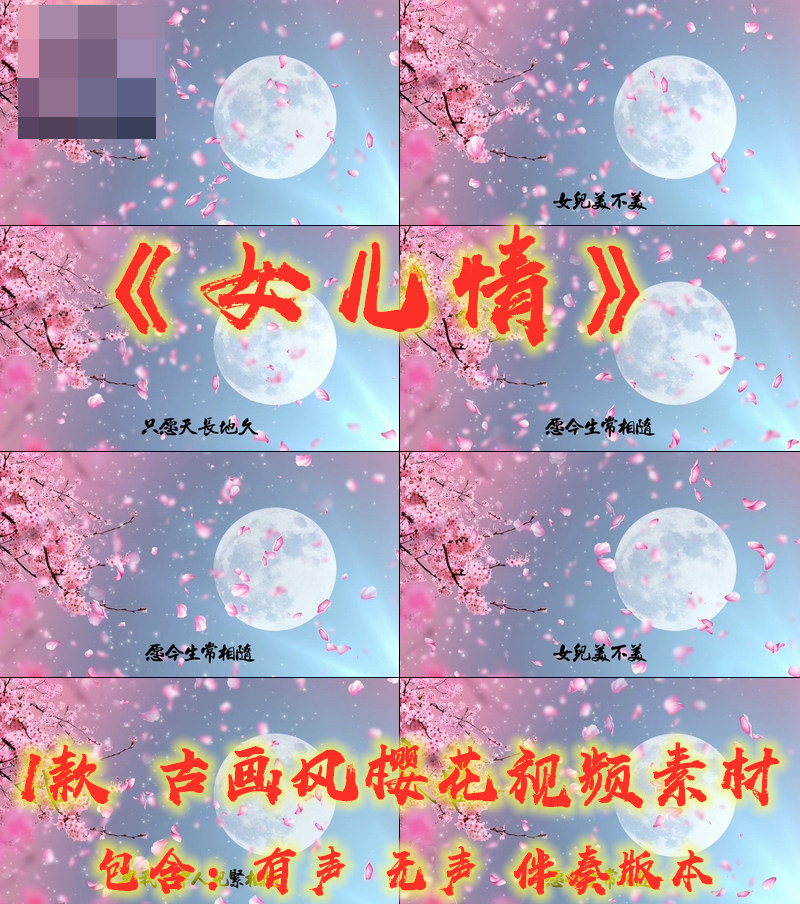 女儿情配乐歌曲背景水墨山水桃花瓣雨旗袍秀晚会led视频素材