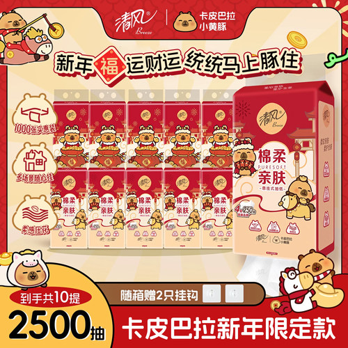 清风悬挂式抽纸250抽10提