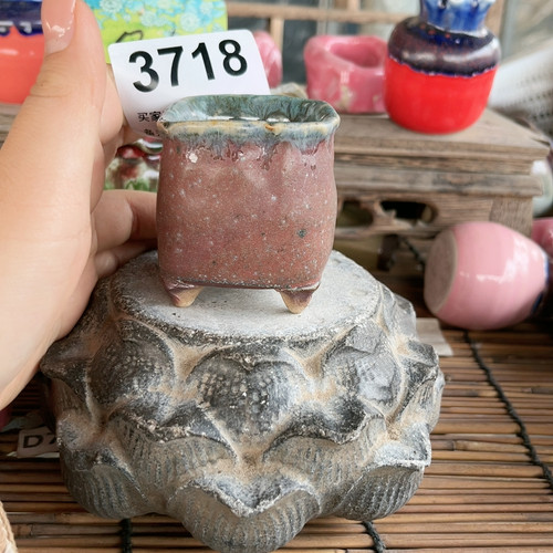 拇指
