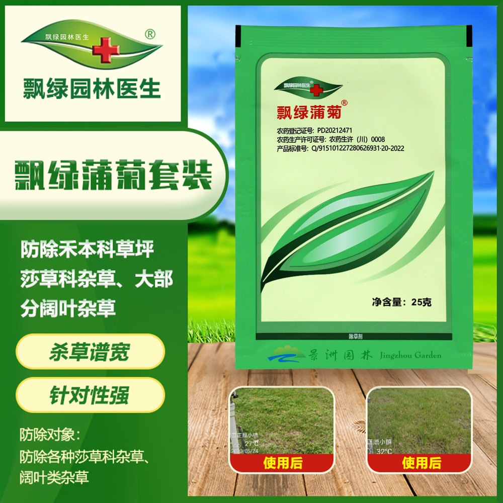 飘绿蒲菊马尼拉狗牙根禾本科草坪除蒲公英宿根菊科豆科阔圆叶杂草