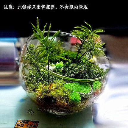 装饰摆件生态缸造景装饰摆件微景观透明高硼硅玻璃瓶创意礼品斜口