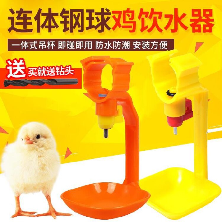 鸡鸭鹅不锈钢乳头吊杯饮水器熟料绑带鸡水壶小鸭子鸡舍钢球阀小鸡