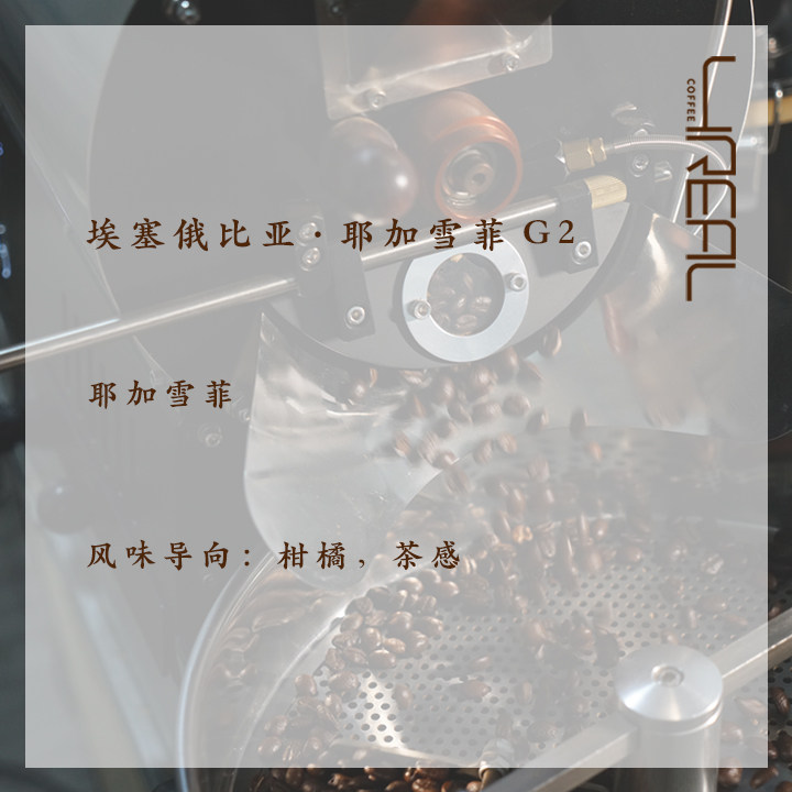 4realcoffee埃塞俄比亚耶加雪菲g2水洗单品手冲咖啡豆227克