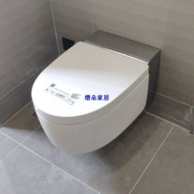 瑞士挂壁式一体机马桶