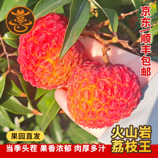 海南永兴老树荔枝王火山鸡蛋大荔枝带礼盒新鲜水果京东顺丰空运